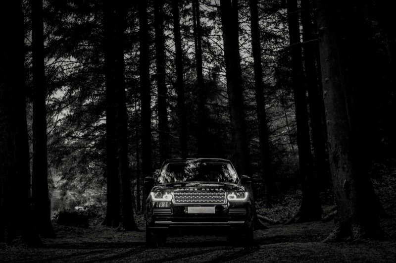 Range Rover in a dark forest