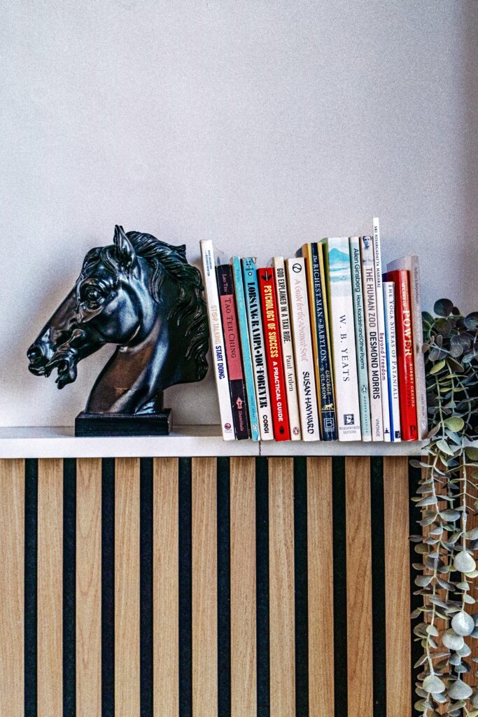 Aesthetic shot of book shelf and horse bookend - Real Estate photography Nicosia, Cyprus